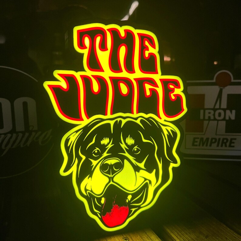 The Judge LED Light Box